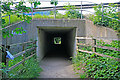 Subway under M27 in line with track of dismantled railway north of Hill Park