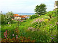 View of Craster Harbour