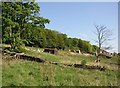 Old railway wagon in field, Brighouse