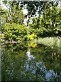 The Pond, Longworth Manor