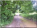 Footpath to the Keepers Cottage, Lower Whatcombe