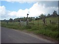 Footpath to Whatcombe Farm