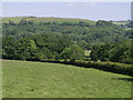 View towards the Tamar