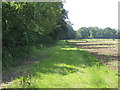 Bridleway along Toomer Hill