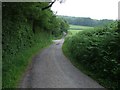 ST0379 : Country Road between Cefn Llys & Keepers Lodge Farms by Kev Griffin