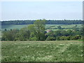 A glimpse of Gainford Hall