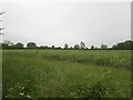 South from Wood Norton road on edge of Stibbard