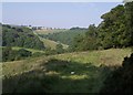 View from lane near Longparks