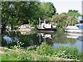 Boats moored on the N bank of the Great Stour