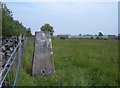 Lanshaw Farm Trig Point