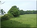 Towards Middle Wood