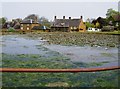 Warmington village pond