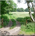 Farm track & gate