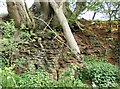 Rock formations near Edge Hill Farm