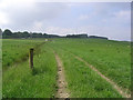 A drove road on Greenhill Heights