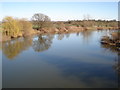 River Wye from Sellack Boat Suspension Bridge