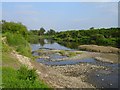 SJ3517 : The Severn at Royal Hill by Penny Mayes