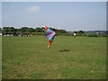 Kite flying in Balsall Common Community Park