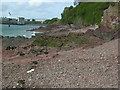 Martello Tower from Llanreath