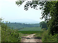 Farm Land near Much Wenlock, Shropshire