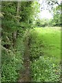 Stream running north under Moor End Lane, Stibbard