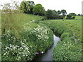 Annagh River, south of Portadown