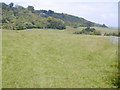 The North Downs from the Pilgrim