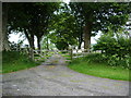 Entrance and road to Bird house