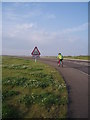 Cycle path, Mains of Ardestie.