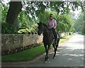 Heading for the gallops