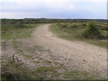 SU3400 : Perimeter track at disused Beaulieu airfield, New Forest by Jim Champion