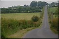 The Doughery Road near Banbridge