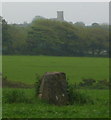 Standing stone