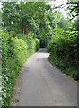 Country road, near Gorsley Common