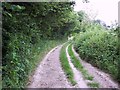 Bridleway near Chalbury Farm