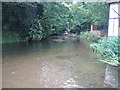 River Lee in Wheathampstead