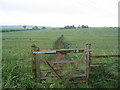 Gate, and footpath through wheat