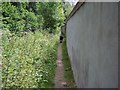 Footpath in New Town