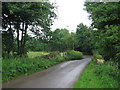 Bridge on Dark Lane