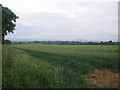 Farmland near Woodhouse Cross