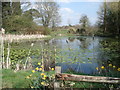 Pond on the Putley Court estate