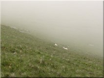 NT1717 : Cloud down, on Lochcraig Head by Callum Black