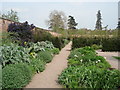 Walled Garden at Hampton Court