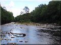 River island, North Esk.