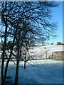 Winter view at the back of Beechfield looking west  across the conservation area