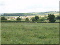 Field at Wombwell Farm