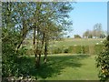 Spring view at the rear of Beechfield looking west across conservation area.