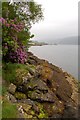 NS2495 : Shoreline of Loch Long by John Allan