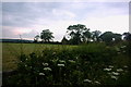 Fields near Wanfield Hall