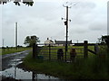 NY0792 : Shetland ponies at Edgemoor on a rainy day by Darrin Antrobus
